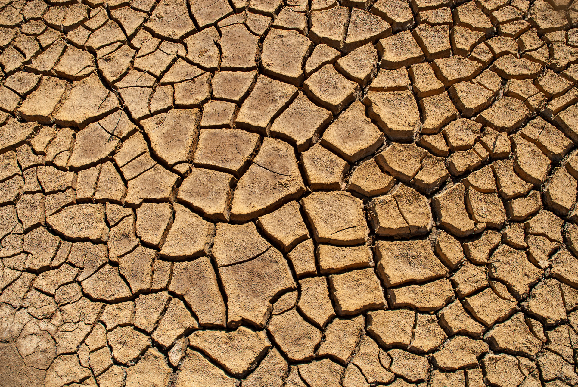 2022年为什么干旱地区多