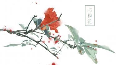 题榴花韩愈拼音版 题榴花韩愈翻译
