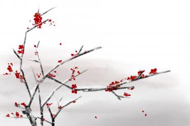 梅花落杨炯赏析