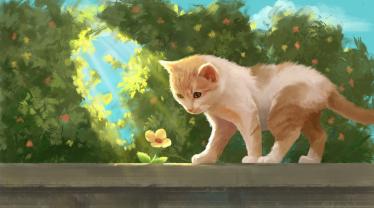 赠猫陆游其二拼音 陆游赠猫其二赏析