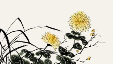 华下对菊拼音版