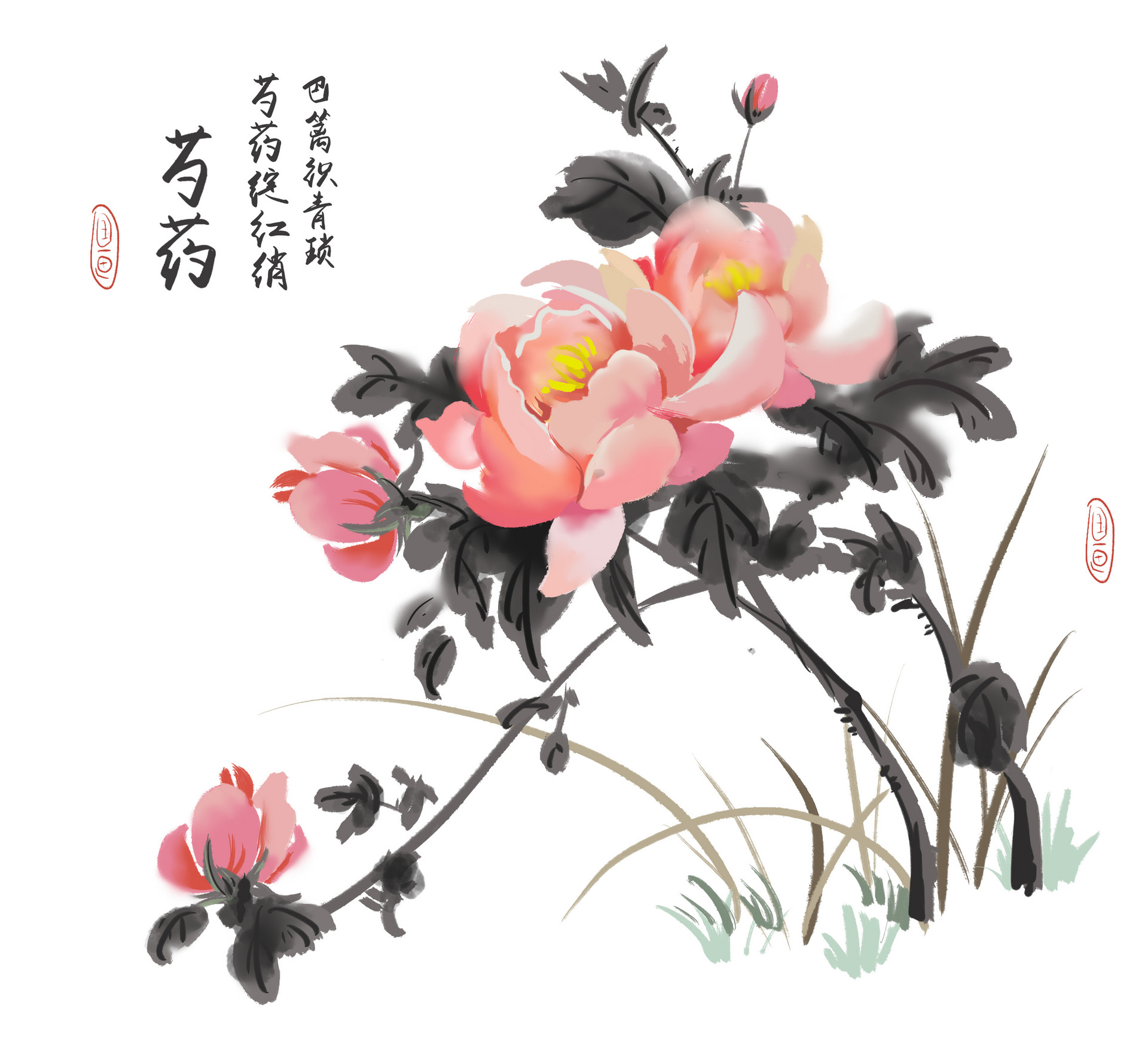 戏题阶前芍药拼音 戏题阶前芍药翻译