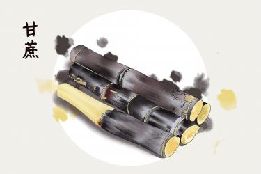咏甘蔗诗赏析