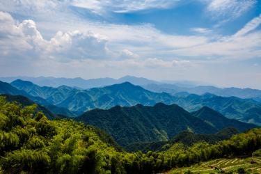 山中秘演翻译赏析