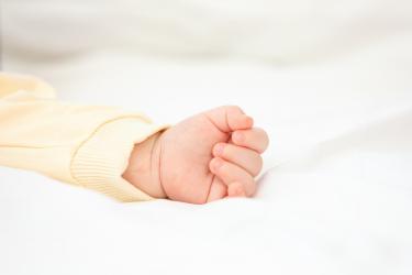 十一月出生的男虎宝宝取名