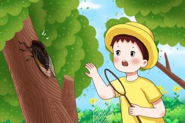 2022年农历四月初六出生的宝宝五行缺什么 如何取名
