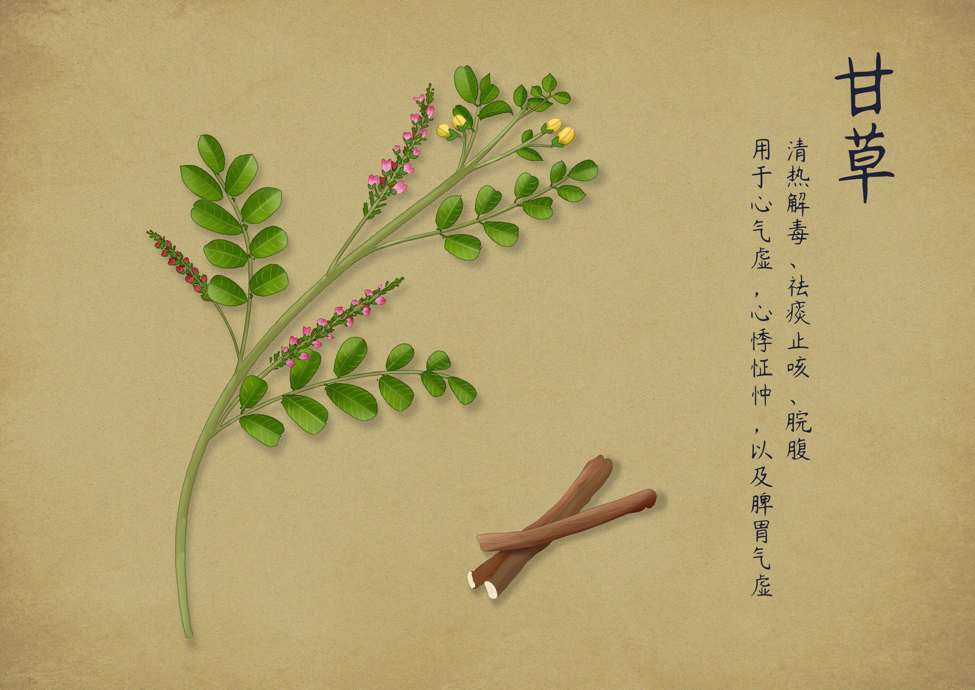 河传咏甘草拼音版