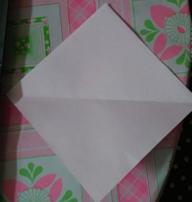 神奇宝贝索罗亚折纸