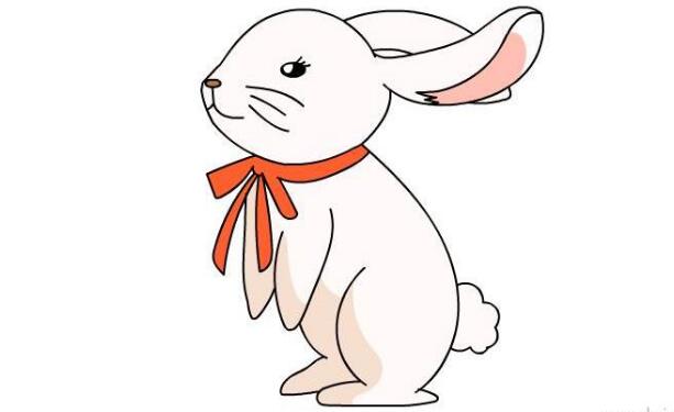 呆萌可爱的小兔子简笔画