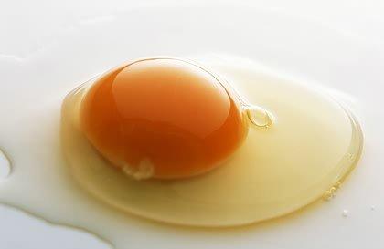 蛋黄油治宝宝湿疹