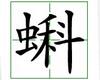 识字教学：蝌