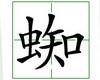 识字教学：蜘