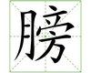 识字教学：膀