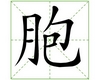 识字教学：胞