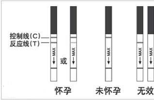 检测怀孕的方法：早孕试纸