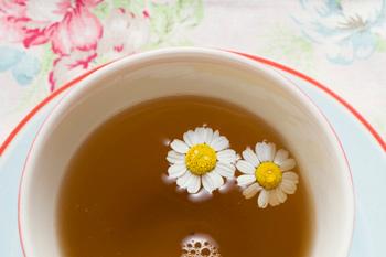 藏红花有可能会导致女性不孕