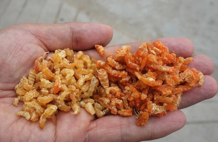 山东染色海米加工点曝光 海虾鲜红全因添加色素