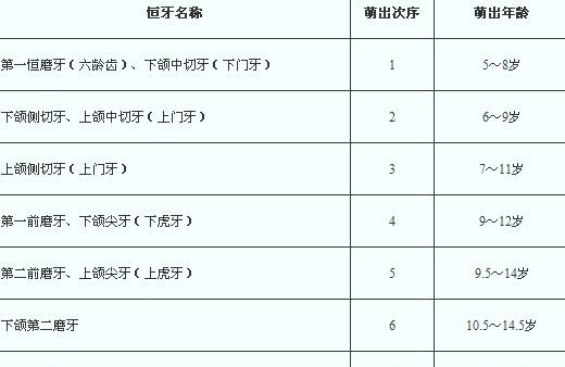 宝宝长牙的时间和顺序