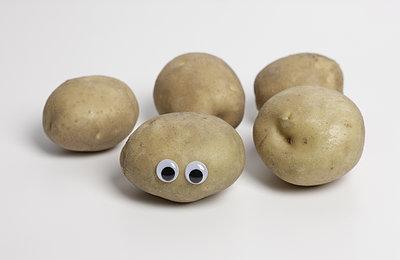 怀孕了要多吃哪些食物?