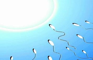 备孕必知：精子的存活时间有多长