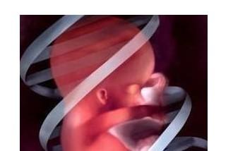 有关胎儿脐带绕颈的五个问答