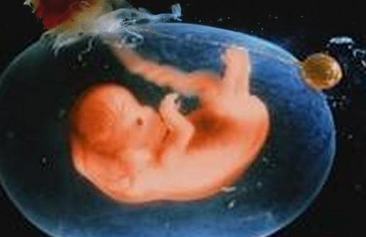 怀孕9个月胎儿的发育状况