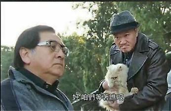 《护花危情》虐猫被投诉 林峰黄宗泽钟嘉欣粉丝掀骂战