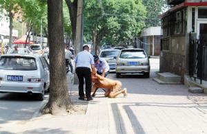 5旬男裸奔 司机看热闹追尾