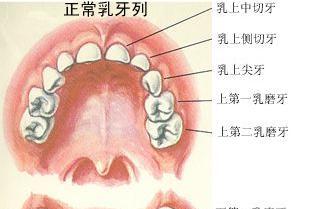 如何照顾出牙的宝宝