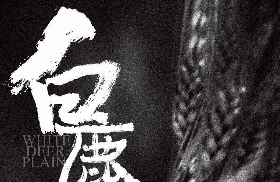 王全安《白鹿原》电影9月13日上映 诠释中国式欲望