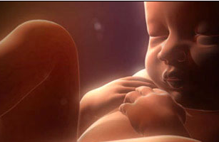 胎儿发育过程中的7种技能
