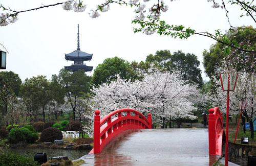 武汉旅游 大都市小情调