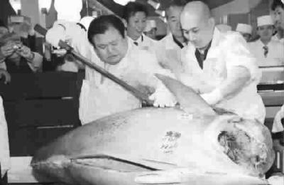 史上最贵金枪鱼1.55亿日元 是先前纪录的三倍