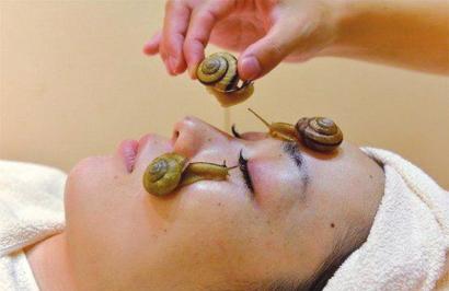 蜗牛美容：蜗牛爬脸美容只是一种新概念