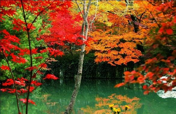 10月份适合去哪里旅游 10月份去哪里旅游好