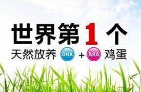 世界第一个森林放养同时富含DHA/ARA天然母婴鸡蛋面世