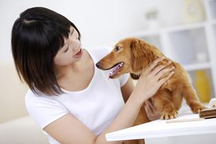 孕前准备最佳方案_孕前需要做哪些准备