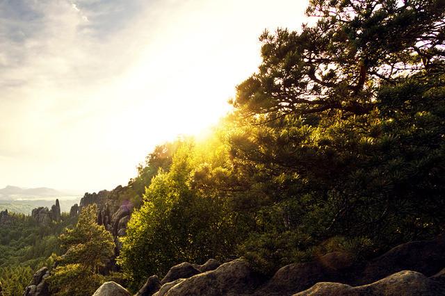 宝宝两岁半上幼儿园好吗