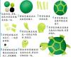 幼儿橡皮泥手工:可爱的乌龟