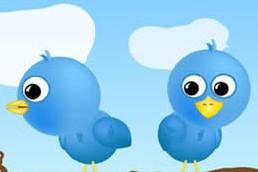 山大王和小小鸟