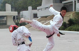 学习跆拳道的优势有哪些