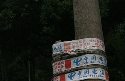 桂林现史上最牛胶布：胶布捆绑电线杆引思考