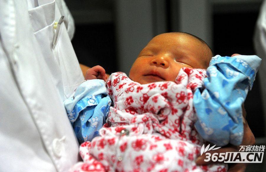 什么是设计婴儿 中国首例“设计婴儿”诞生脐血救姐姐