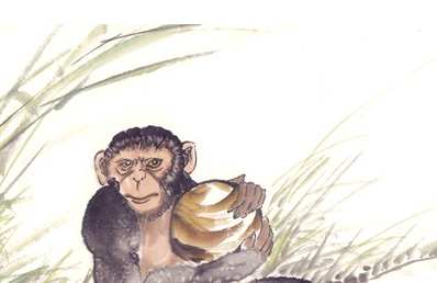 两个人与猿猴的故事