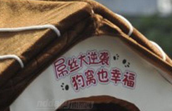 [图]没房子没妹子 为抗议高房价广州大学生顶狗窝上街