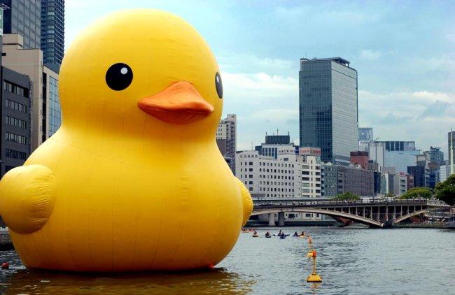 巨型黄色橡皮鸭Rubber Duck来香港了！展览时间为期一个月