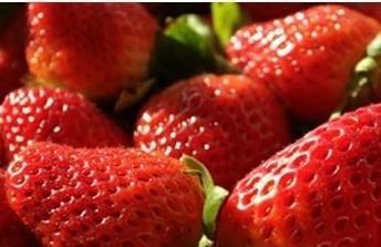中国冷冻草莓德国出问题 1万名德国小学生食物中毒