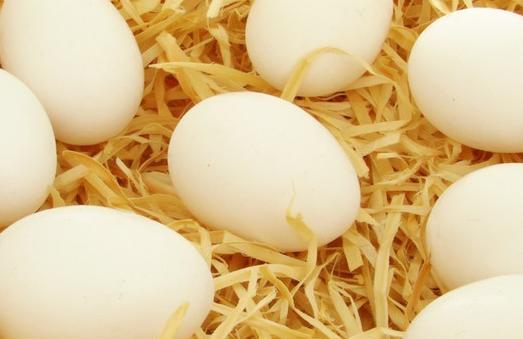 广州鸡蛋价格上升因气温升高 土鸡蛋最贵7.5元/斤