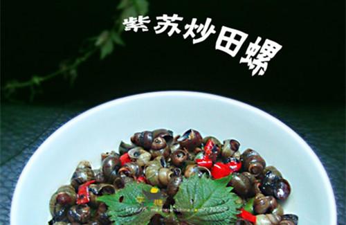 紫苏炒青螺——舌尖2第三集小吃
