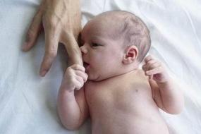 婴儿辅食的添加顺序